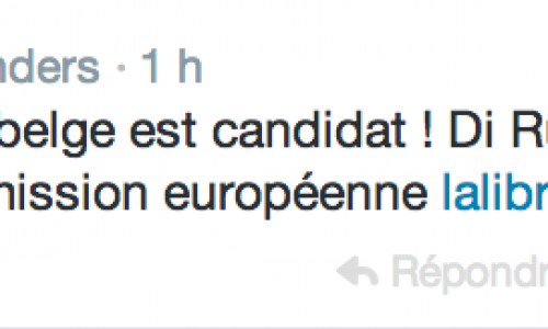 Didier Reynders dérape sur Twitter, mais c’est tout le monde politique qui pédale dans la semoule.