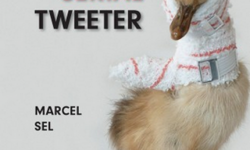 « Confessions d’un Serial Tweeter », mon nouveau poussin, est en librairie !